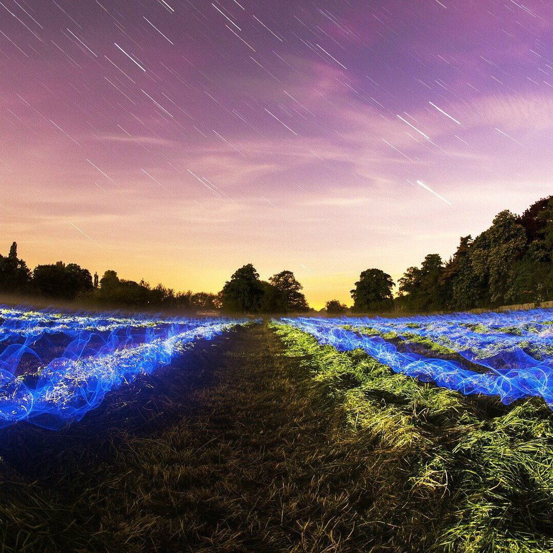Ein Feld mit leuchtend blauen Linien unter einem Sternenhimmel mit Lichtstreifen. Bäume säumen den Horizont vor einem violetten und gelben Hintergrund.