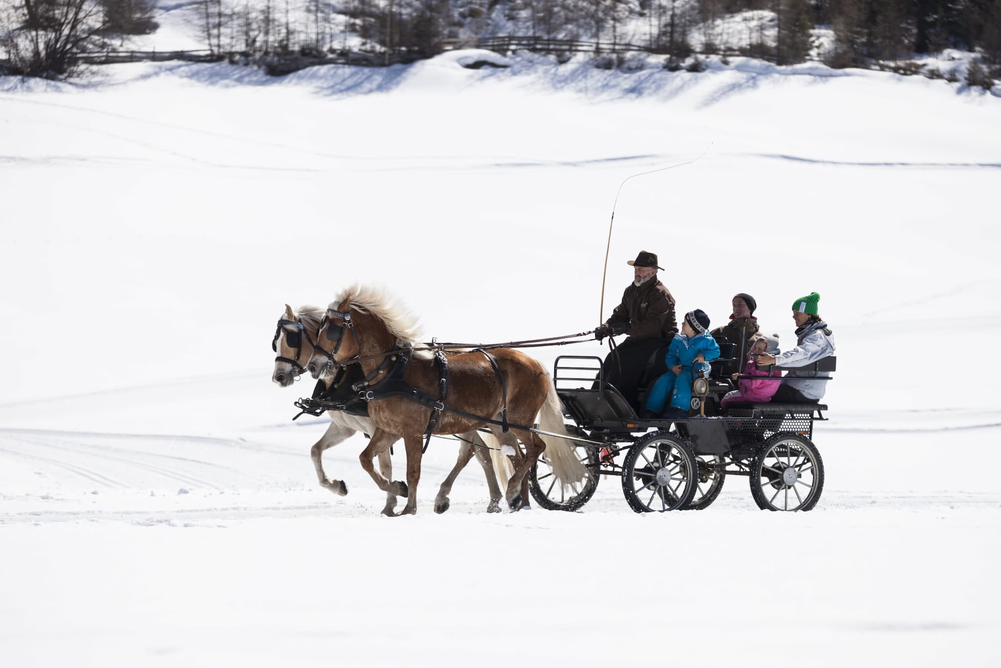 Eine Pferdekutsche mit einem Fahrer und vier Passagieren fährt tagsüber durch eine verschneite Landschaft.