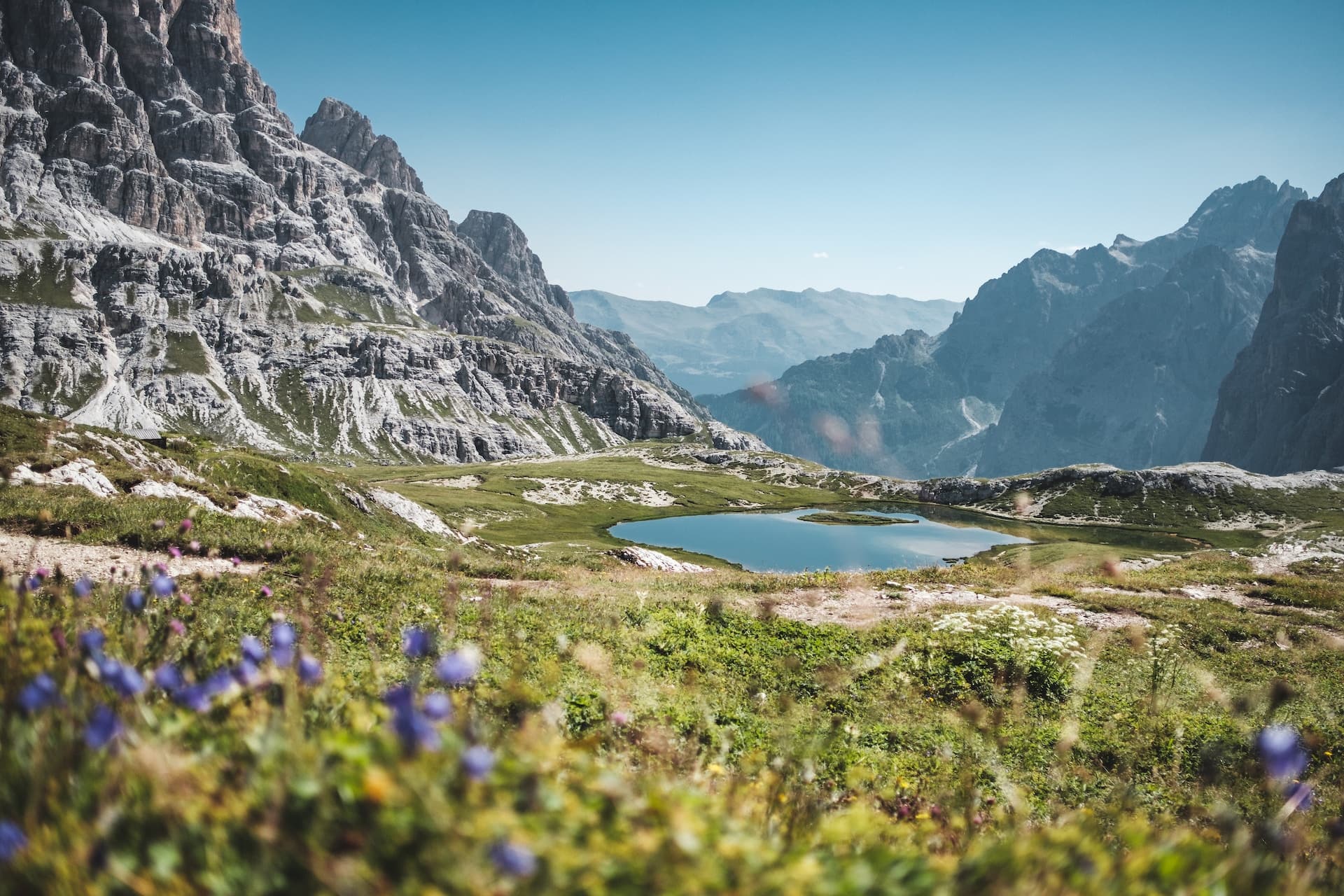 Berglandschaft mit felsigen Gipfeln, einem kleinen See und einem grasbewachsenen Vordergrund mit lila Blumen unter einem klaren blauen Himmel.