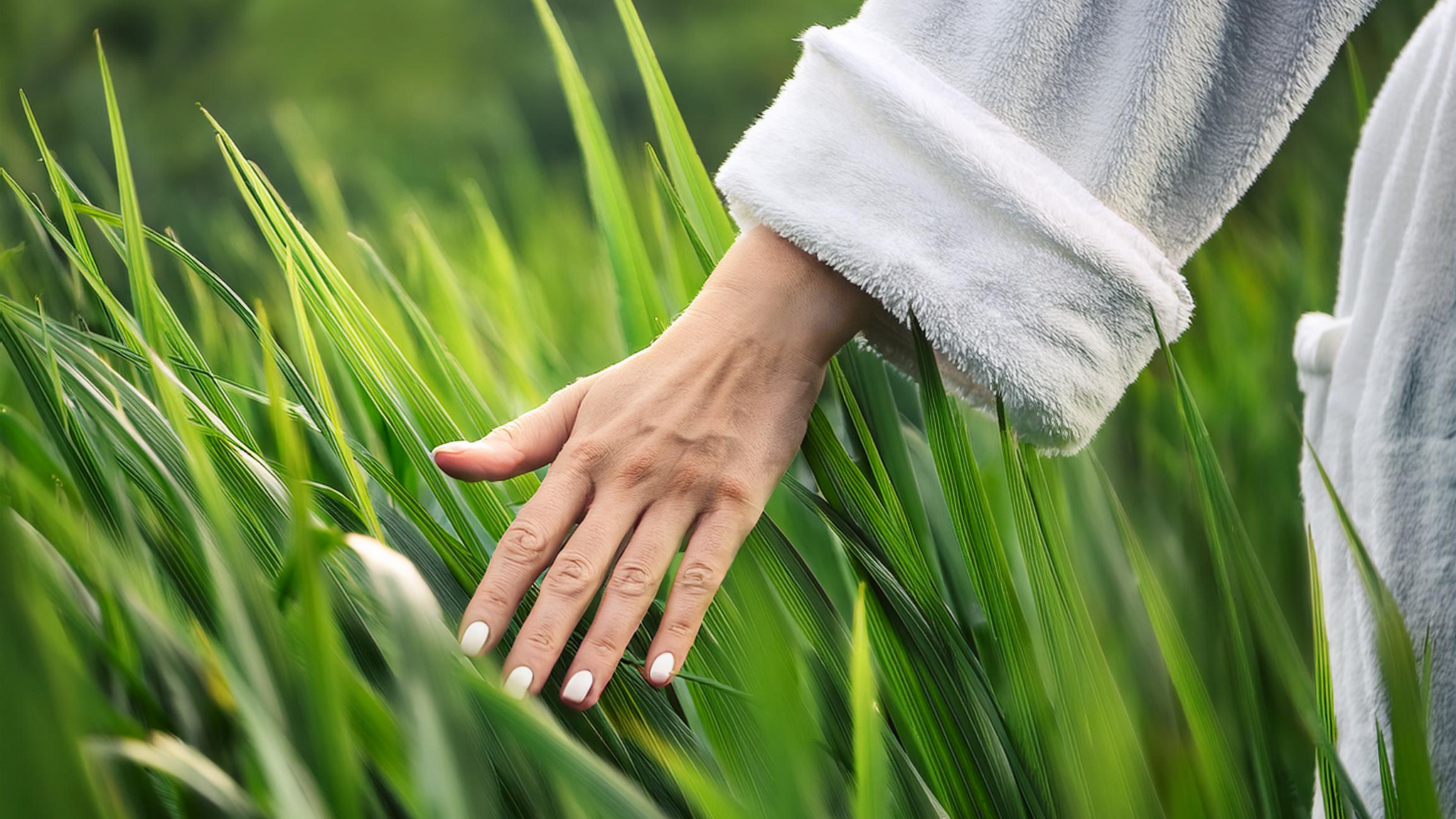 Eine Person in einem weißen Gewand berührt sanft mit der Hand hohes grünes Gras, im Freien in einer natürlichen Umgebung.