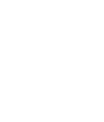 Logo Tripadvisor_travellers_choice_white