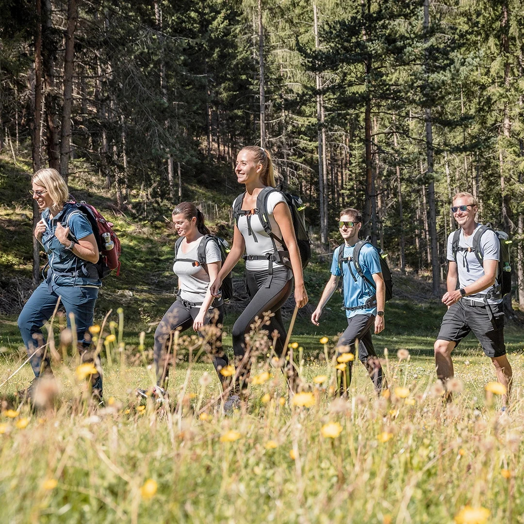 Fünf Menschen wandern mit Rucksäcken durch ein Waldgebiet und laufen an einem sonnigen Tag über eine Wiese mit gelben Blumen.