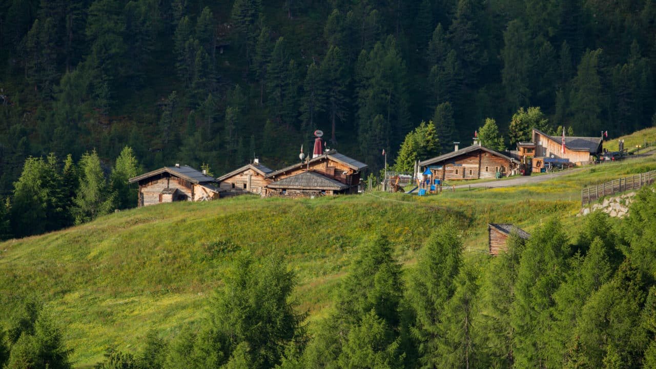 Eine Ansammlung von Holzhütten auf einem grasbewachsenen Hügel, umgeben von Bäumen in einem Waldgebiet unter klarem Himmel.