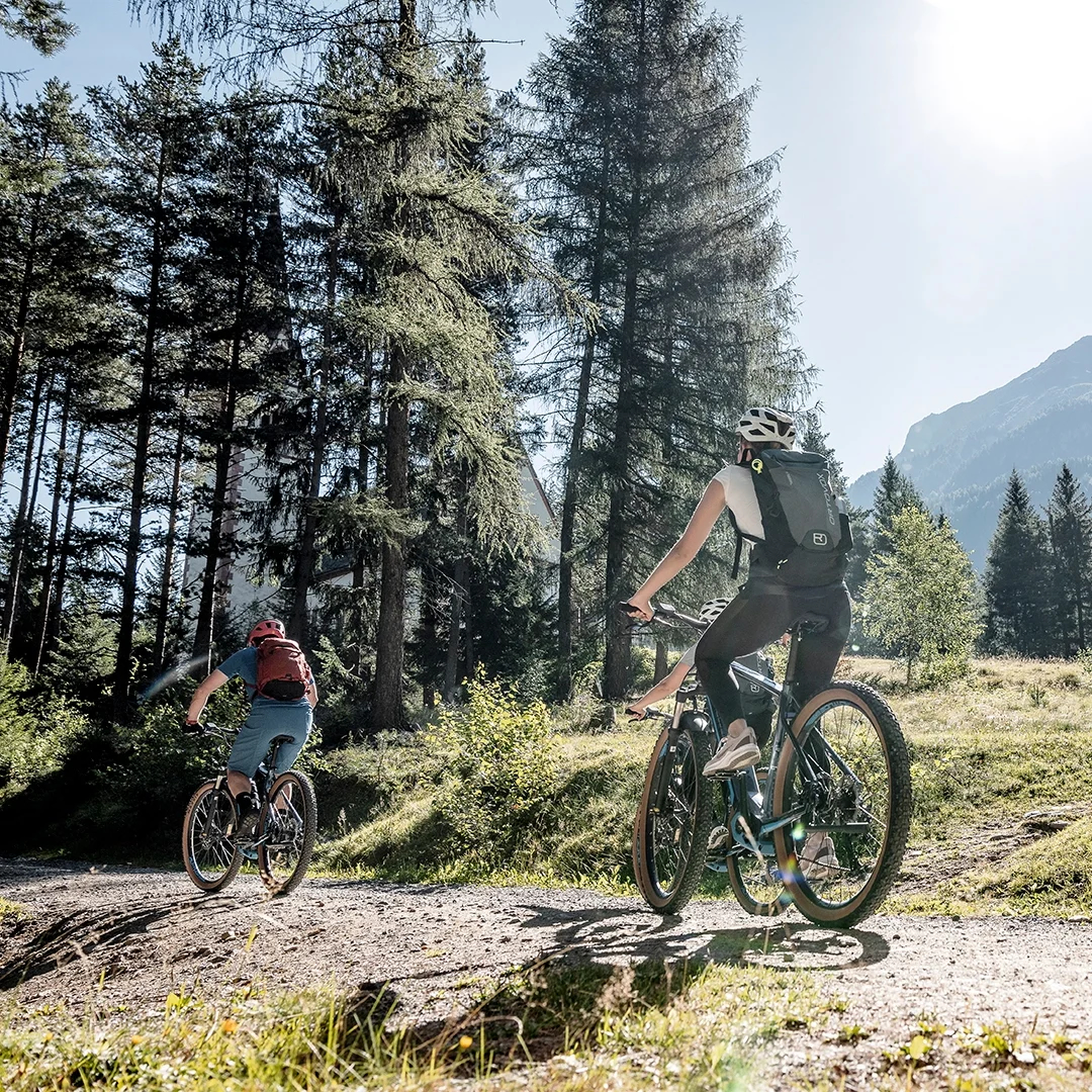 Zwei Radfahrer fahren auf einem Feldweg durch ein Waldgebiet, mit hohen Bäumen und einem Berg im Hintergrund unter einem klaren Himmel.