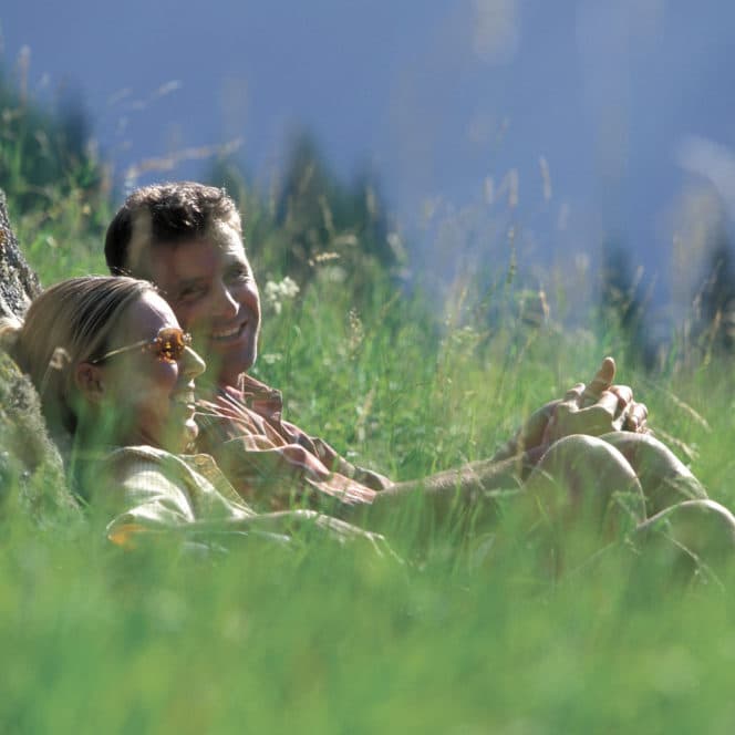 Zwei Menschen entspannen sich auf einer saftig grünen Wiese, an einen Baum gelehnt. Die Frau trägt eine Sonnenbrille. Umgeben von hohem Gras und einem sanften Fokus auf das Grün wirken sie zufrieden.