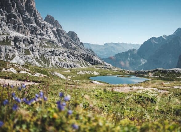 Paesaggio montano con cime rocciose, un piccolo lago nella valle, erba verde e fiori selvatici in primo piano sotto un cielo azzurro e terso.