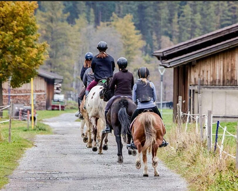 Four people on horseback ride along a rural path bordered by fences, with wooden barns and trees in the background.
