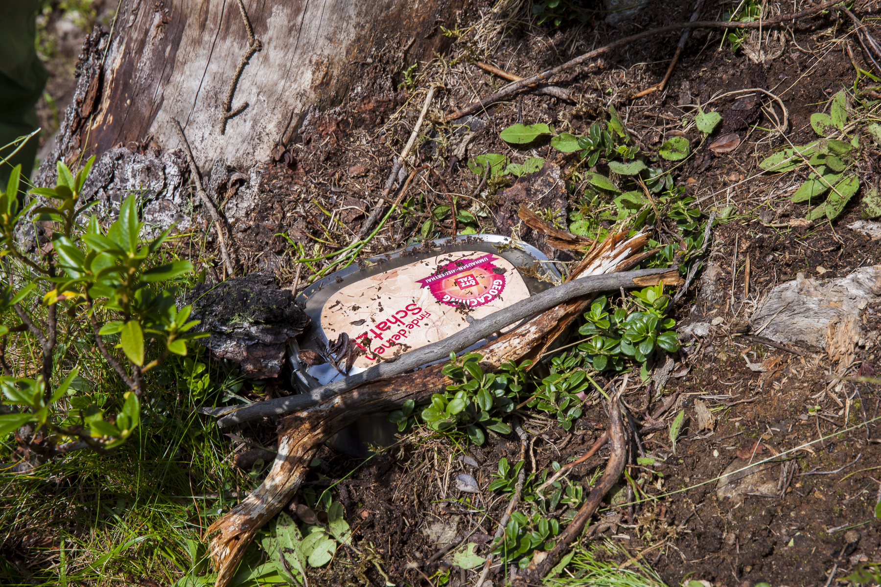 A discarded food container with a red and yellow label lies on the ground among sticks, plants, and dirt next to a tree trunk.